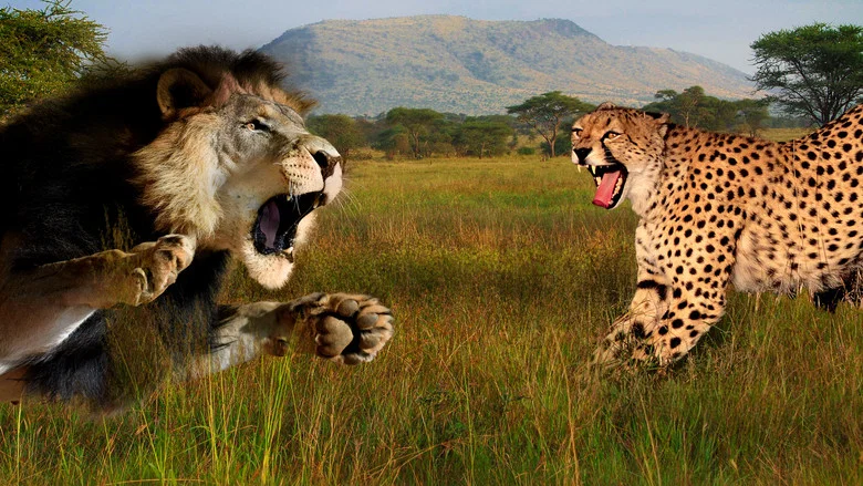 Cat Wars: Lion vs. Cheetah screenshot 1