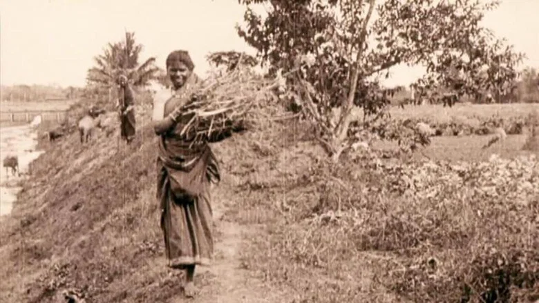Edward Prince of Wales' Tour of India: Peshawar, The Khyber Pass and Rawl Pindi screenshot 1
