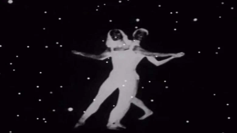 The Very Eye of Night screenshot 1