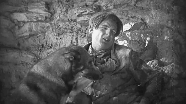 Clash of the Wolves screenshot 4