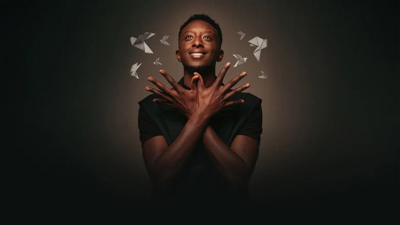 Ahmed Sylla - Origami screenshot 1