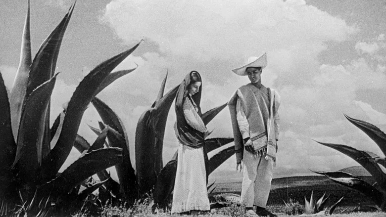 Time in the Sun screenshot 1