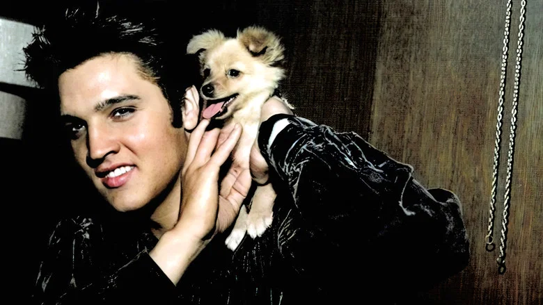 Tupelo's Own Elvis Presley screenshot 7