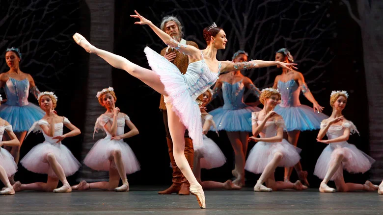 Bolshoi Ballet: Don Quixote screenshot 1
