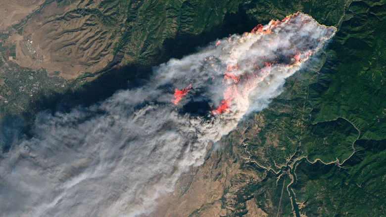 Fire in Paradise screenshot 3