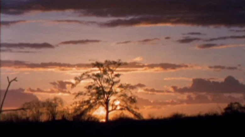 I Travel Because I Have to, I Come Back Because I Love You screenshot 4