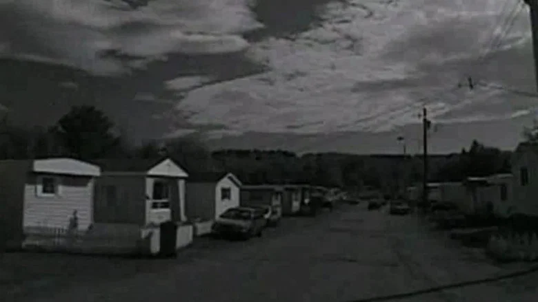 Trailer Park Boys screenshot 1