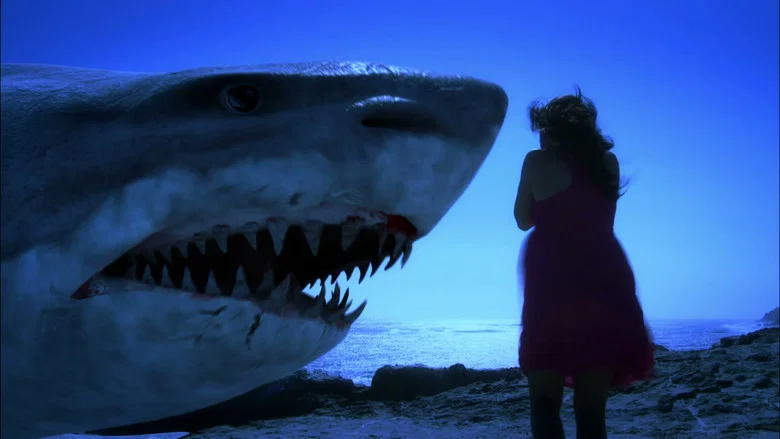 Super Shark screenshot 3