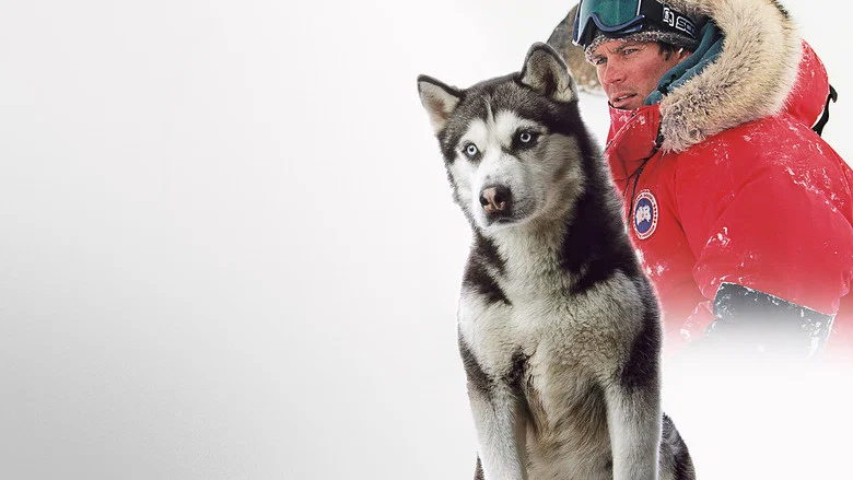 Eight Below screenshot 5