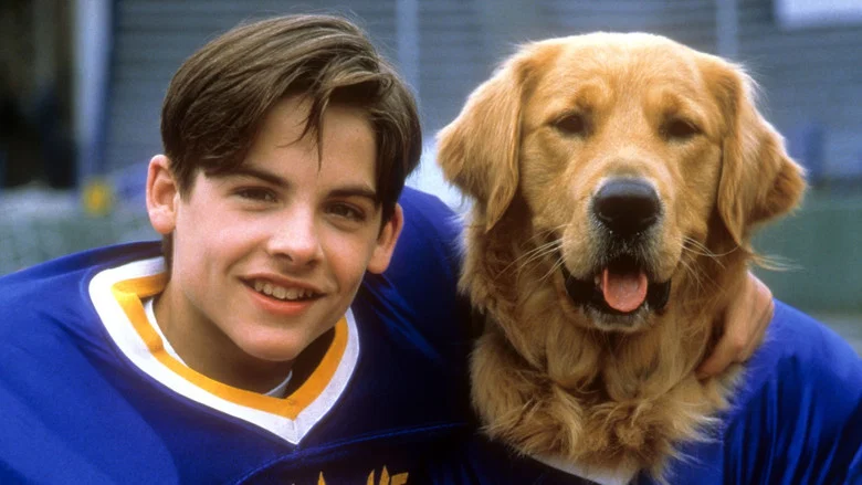 Air Bud: Golden Receiver screenshot 2