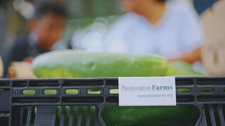Grow a Better Dallas screenshot 3