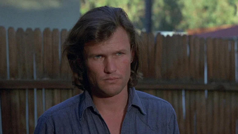 Cisco Pike screenshot 5