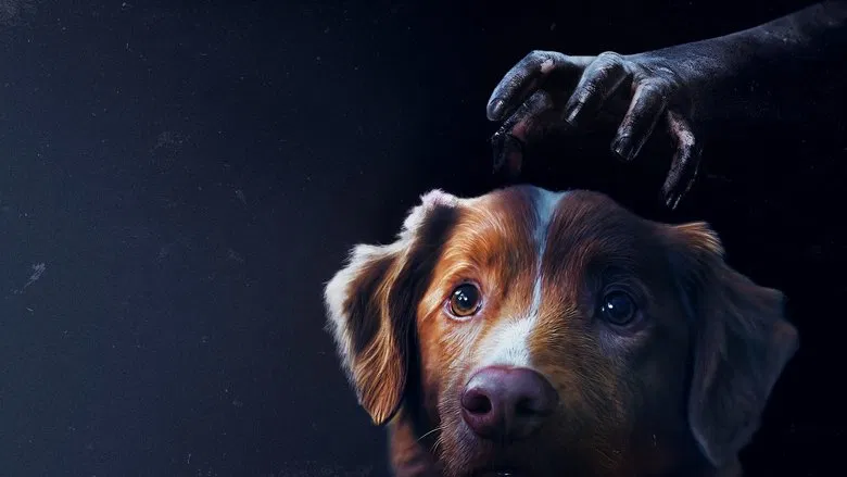 Good Boy screenshot 1