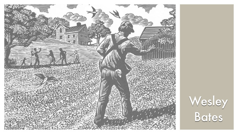 LOOK & SEE: Wesley W. Bates - Wood Engraver screenshot 1