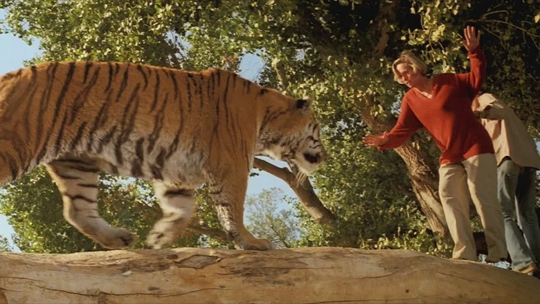 Roar screenshot 5
