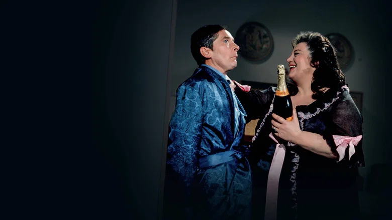 Carry On Doctor screenshot 2