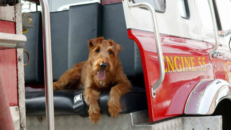 Firehouse Dog screenshot 2
