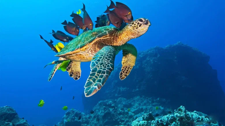 OceanWorld 3D screenshot 1