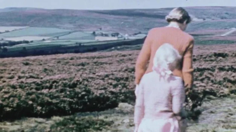 The Yorkshire Moors screenshot 1