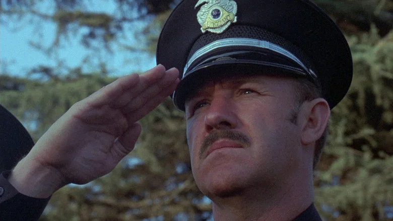 Cisco Pike screenshot 4