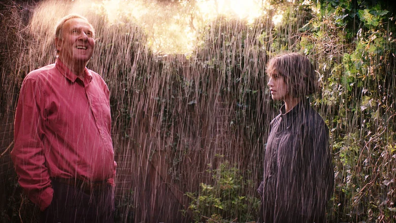 This Beautiful Fantastic screenshot 7