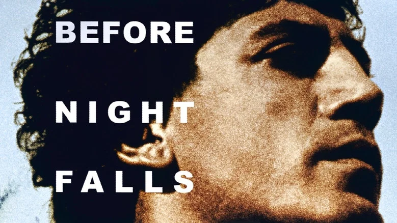 Before Night Falls screenshot 2