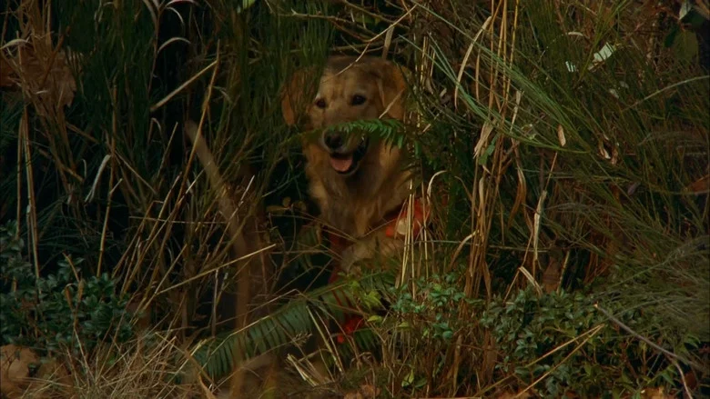 Air Bud screenshot 4