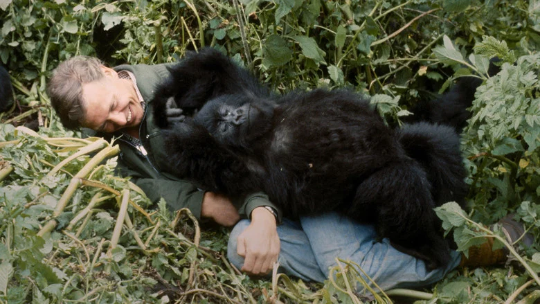 A Gorilla Story: Told by David Attenborough screenshot 5