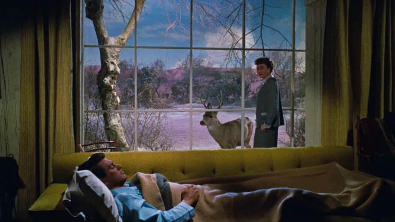 All That Heaven Allows screenshot 3