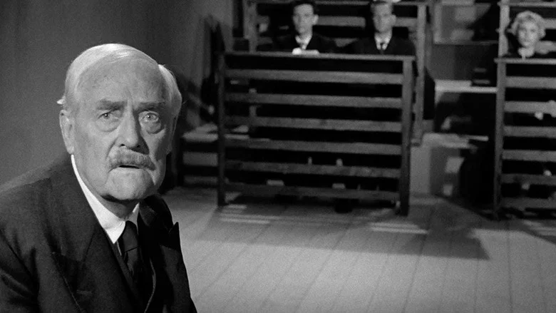Wild Strawberries screenshot 3