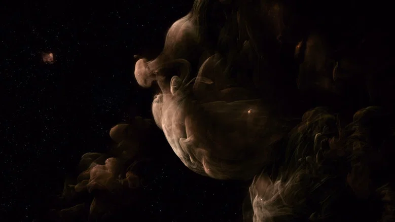 The Tree of Life screenshot 3
