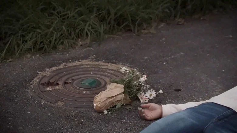 The Man Who Loved Flowers screenshot 3