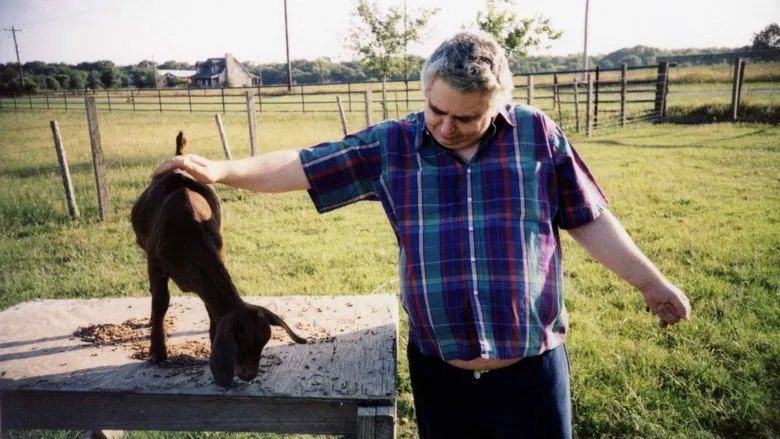 The Devil and Daniel Johnston screenshot 1