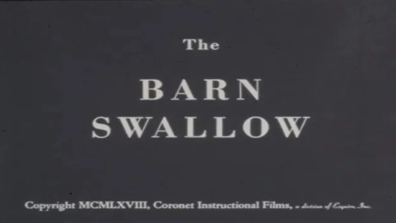 The Barn Swallow screenshot 1