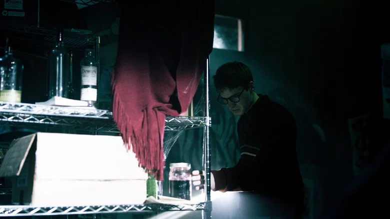 Chiroptera screenshot 3