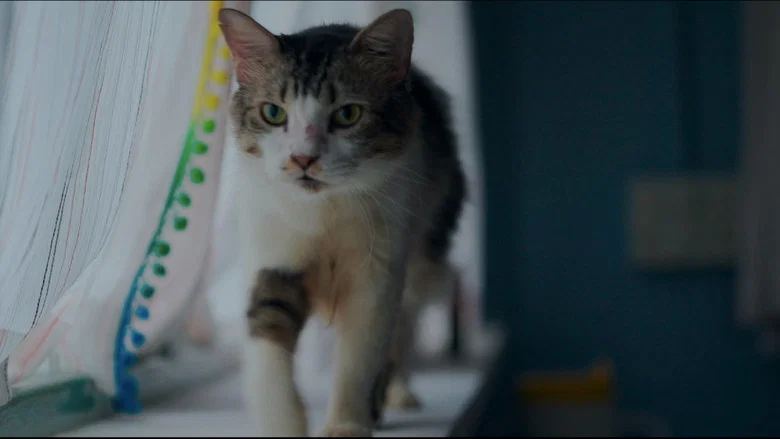 Max, Min and Meowzaki screenshot 2