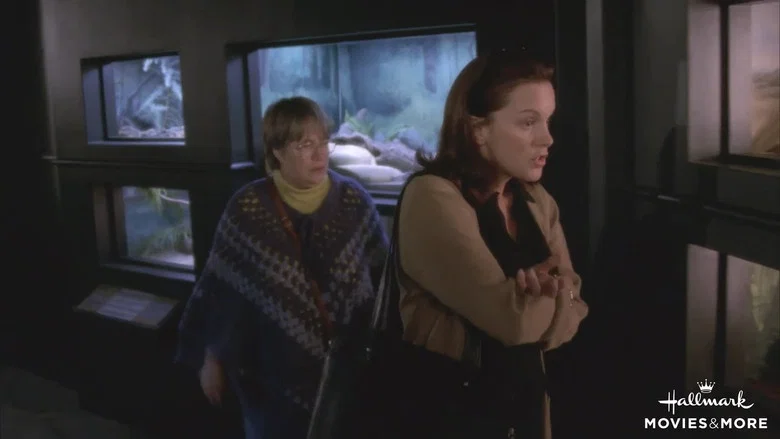 My Sister's Keeper screenshot 2