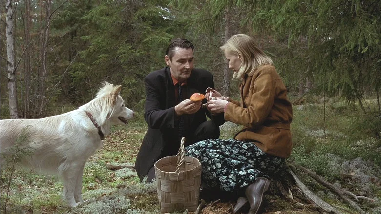 The Man Without a Past screenshot 1