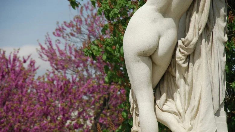 L'art du derrière, une folle histoire des fesses screenshot 1