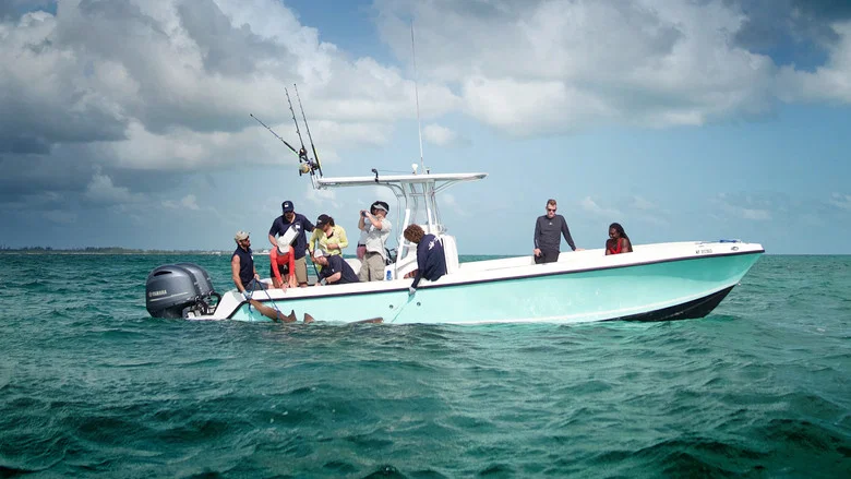 Sharks of the Bermuda Triangle screenshot 5