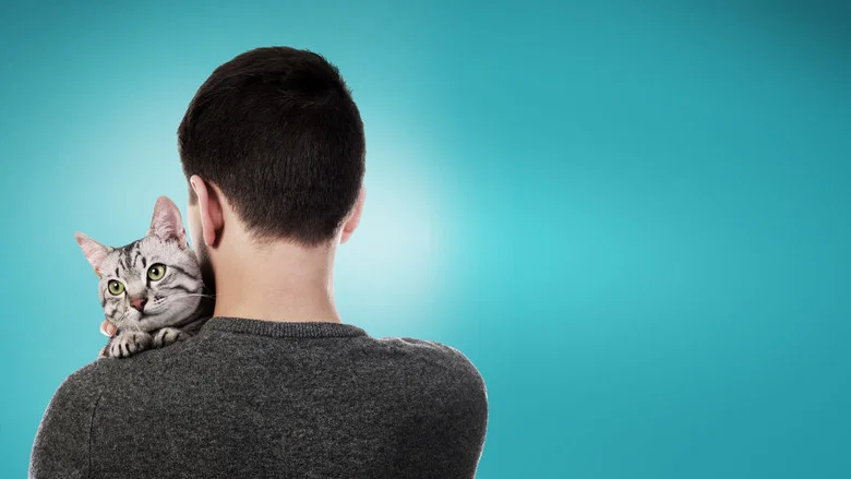 Cat Daddies screenshot 4