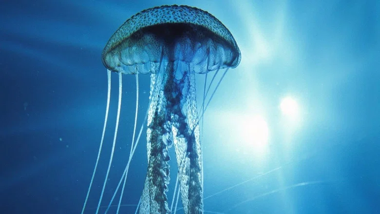 Into the Deep screenshot 1