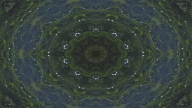 Fleshworm Dreams screenshot 2