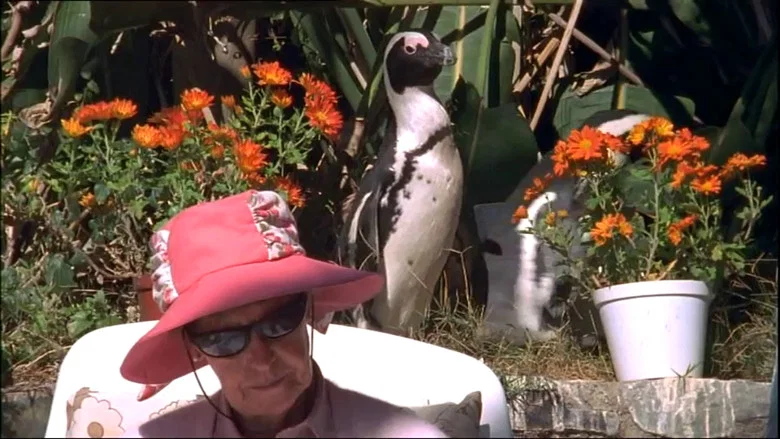 City Slickers: A tale of two African penguins screenshot 1