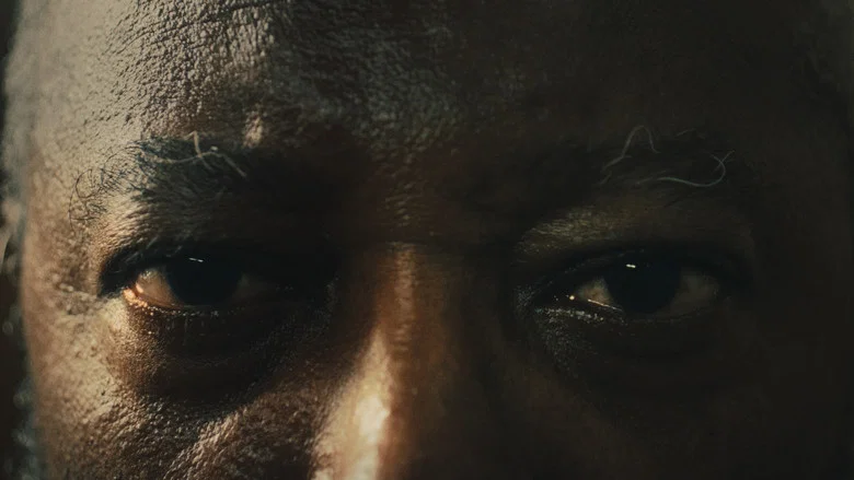 Seco screenshot 2