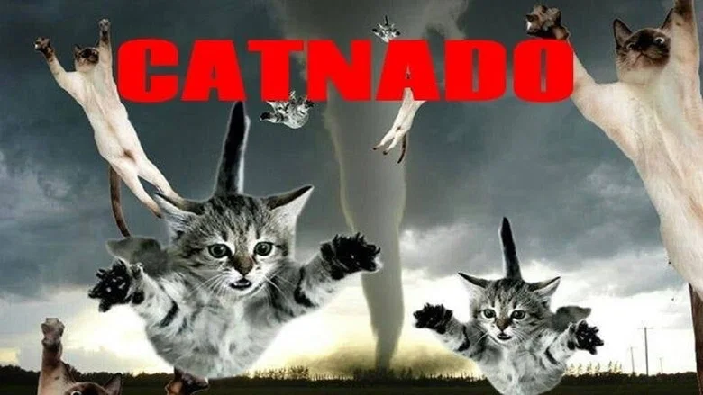 Catnado screenshot 5