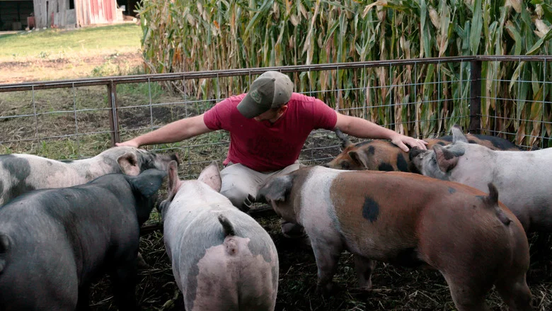 Food, Inc. 2 screenshot 4