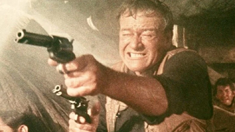 The Sons of Katie Elder screenshot 7