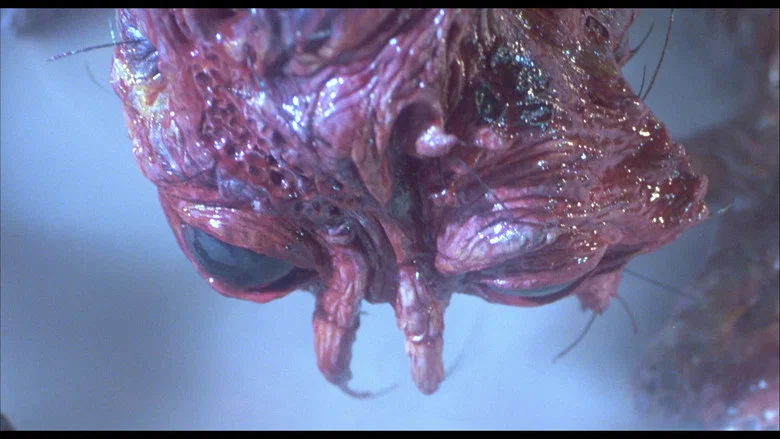 The Fly screenshot 5