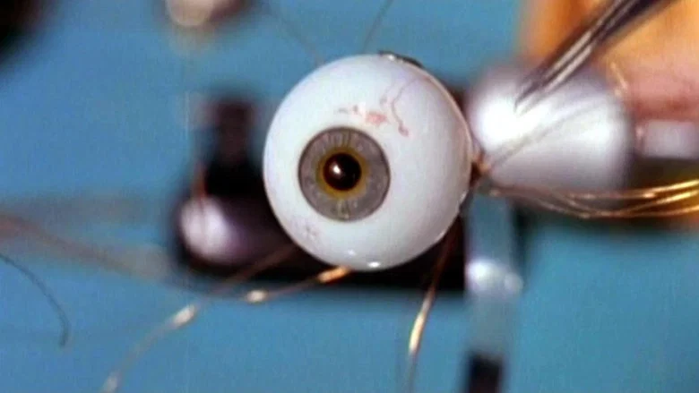 Spy in Your Eye screenshot 1